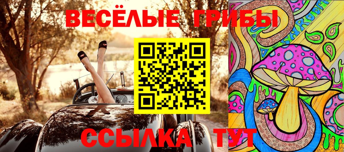 Галлюциногенные грибы Psilocybine cubensis Алушта