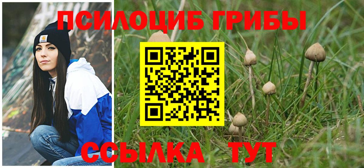 Галлюциногенные грибы GOLDEN TEACHER  Галлюциногенные грибы мухоморы  Вход с VPN  Алушта 